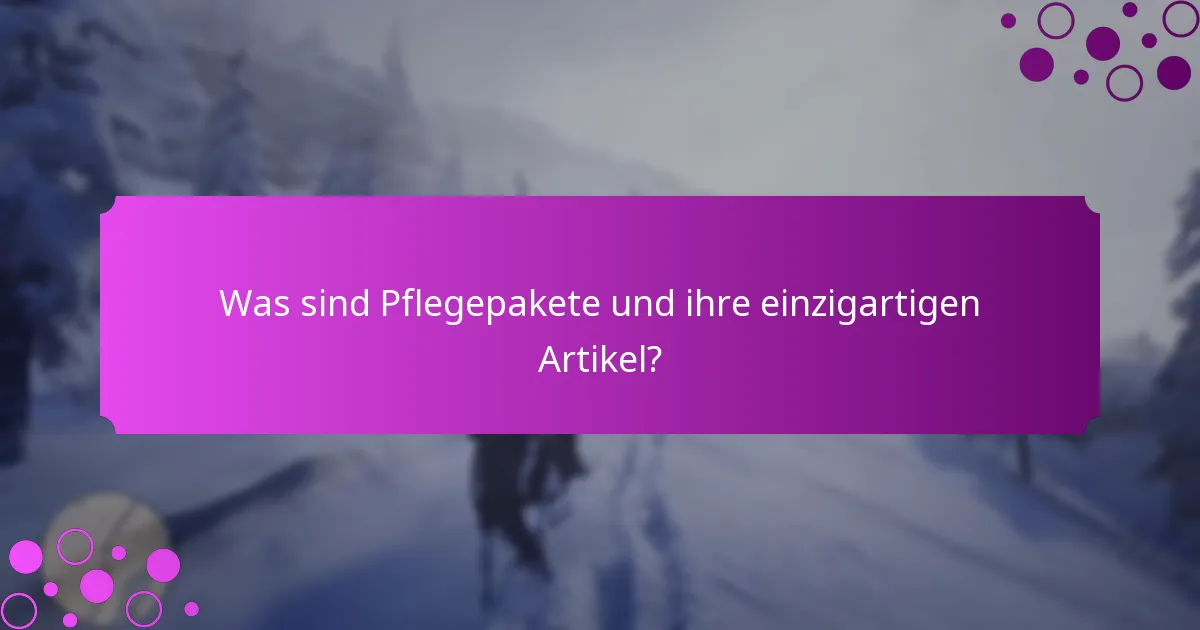 Welche Anbieter von Pflegepaketen bieten die besten Optionen?